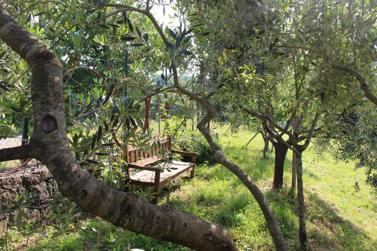 Agriturismo Angio Nel Cere Bracelli Экстерьер фото