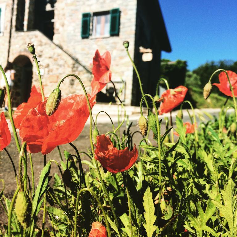 Agriturismo Angio Nel Cere Bracelli Экстерьер фото