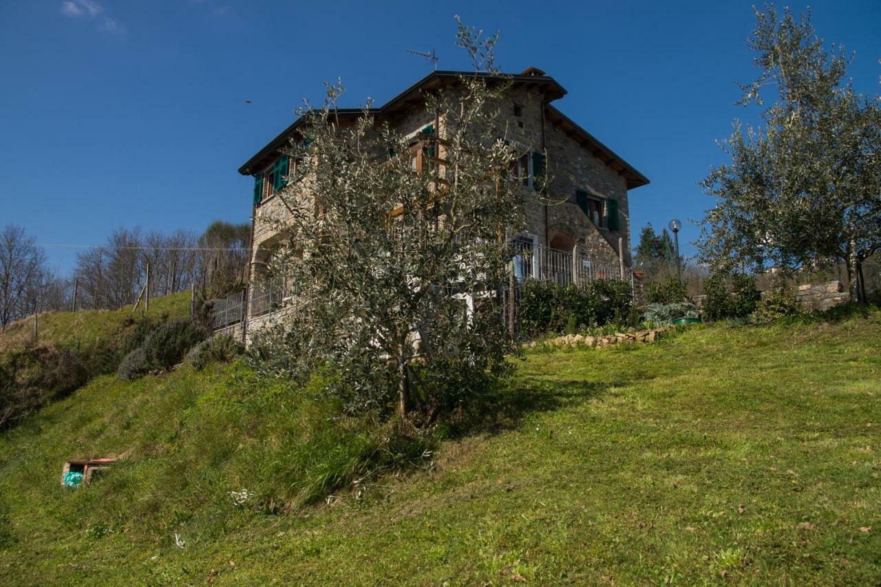 Agriturismo Angio Nel Cere Bracelli Экстерьер фото